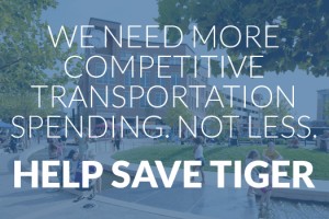 save-tiger-featured