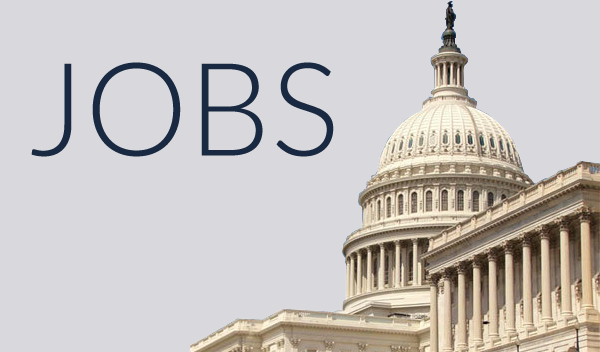 Now Hiring: Policy Intern