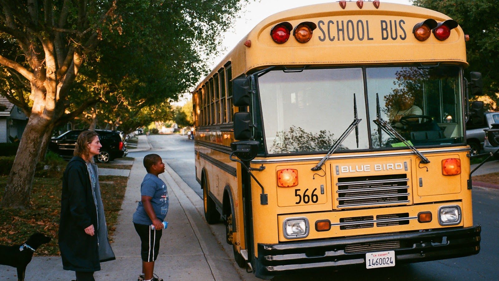 A child waits at his bus stop