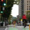 A cyclist crosses an intersection with the aid of a green bicycle crossing signal