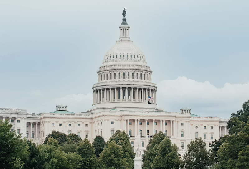 U.S. Capitol dome rising above green treetops.
